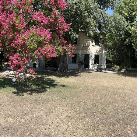 Alpilles Camargue Mas Falabrego Raphèle Eksteriør billede